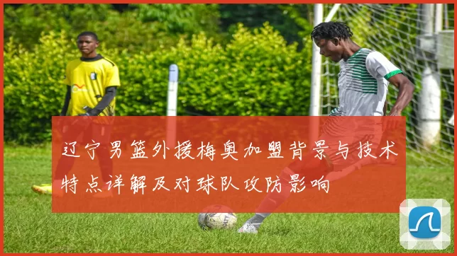 辽宁男篮外援梅奥加盟背景与技术特点详解及对球队攻防影响