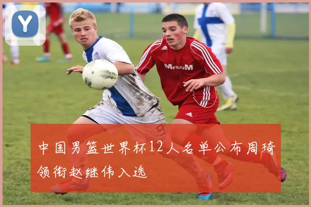 中国男篮世界杯12人名单公布周琦领衔赵继伟入选