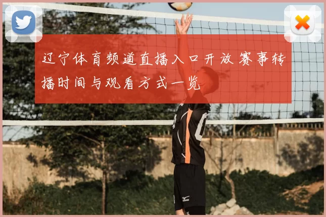 辽宁体育频道直播入口开放 赛事转播时间与观看方式一览